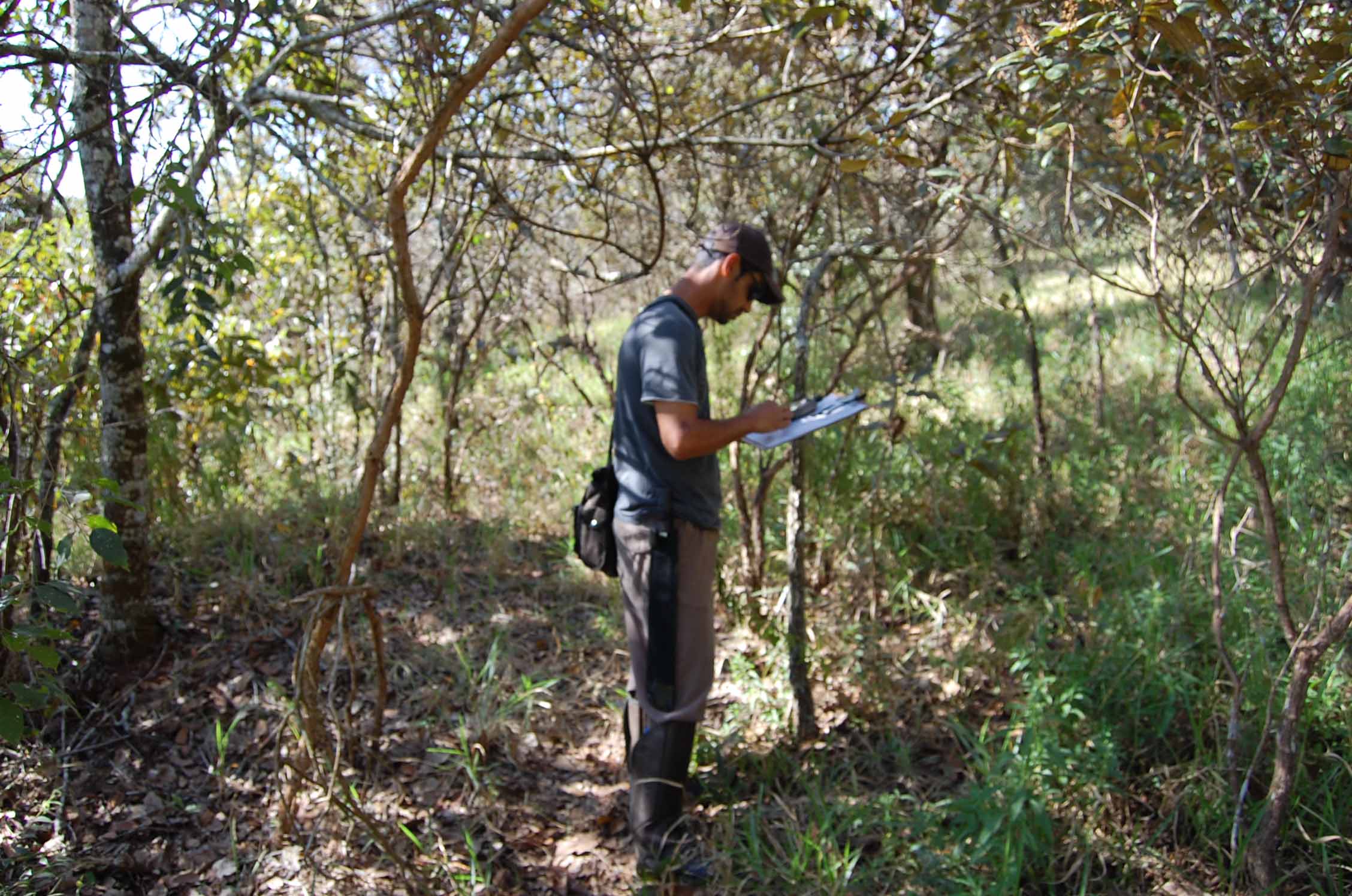 MG Ambiental Biólogo